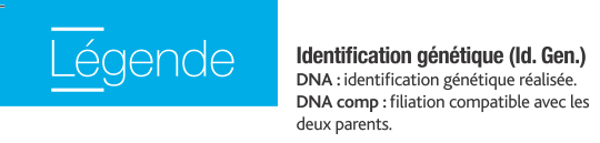 legende DNA/DNA comp