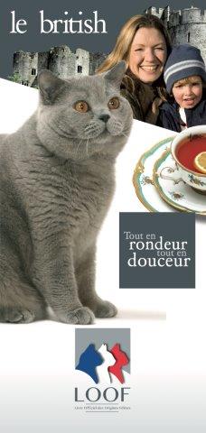 fiche de race british