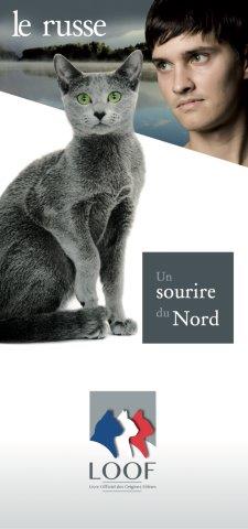 fiche de race russeetnebelung