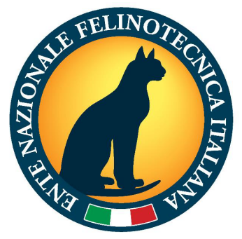 logo ENFI
